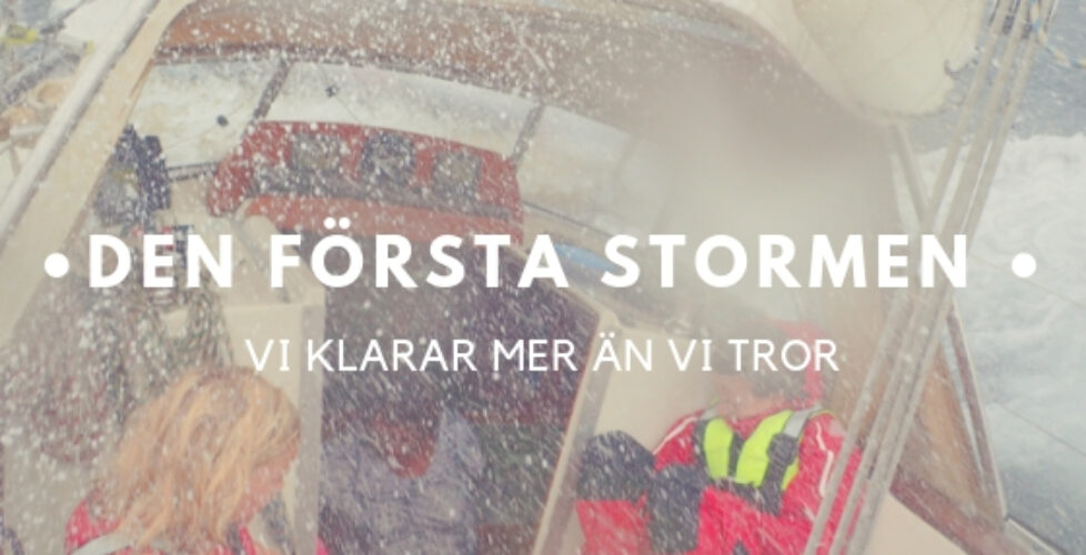 Den-forsta-stormen