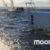 moory_logo